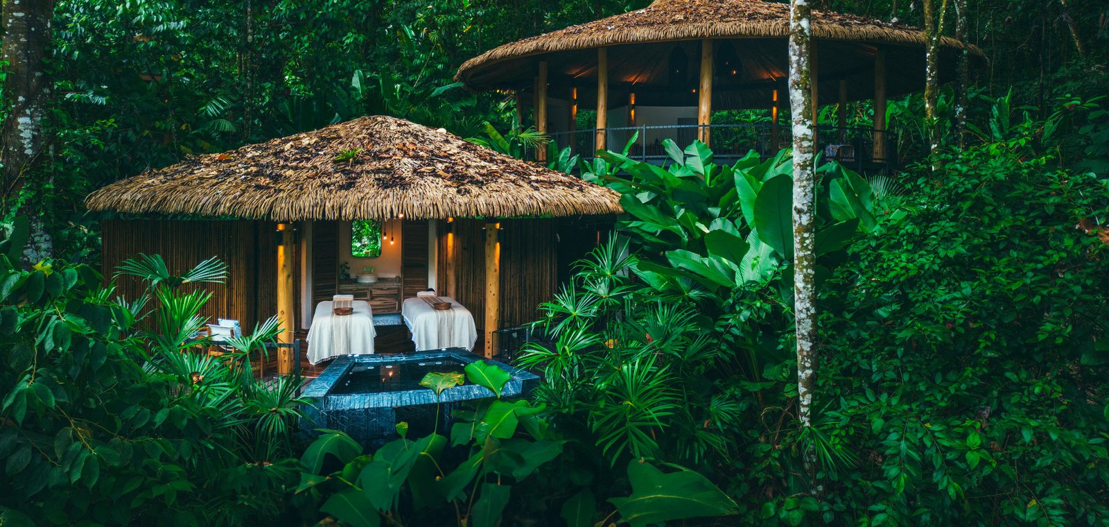 Holistic Wellness, Naturally