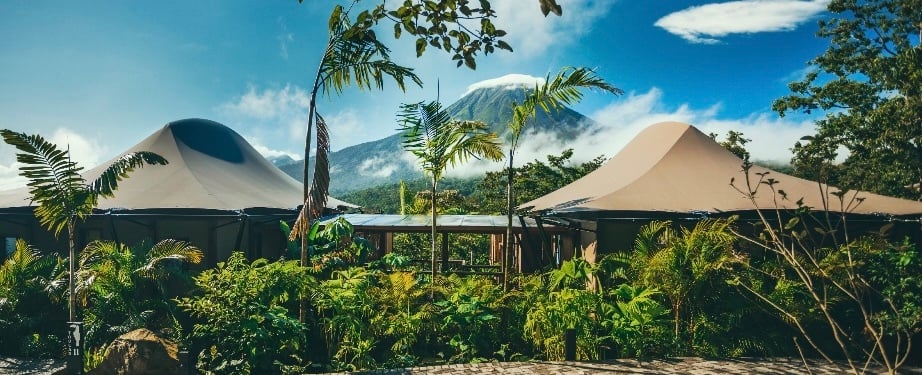 Rooted in Community: The Human Side of Hospitality