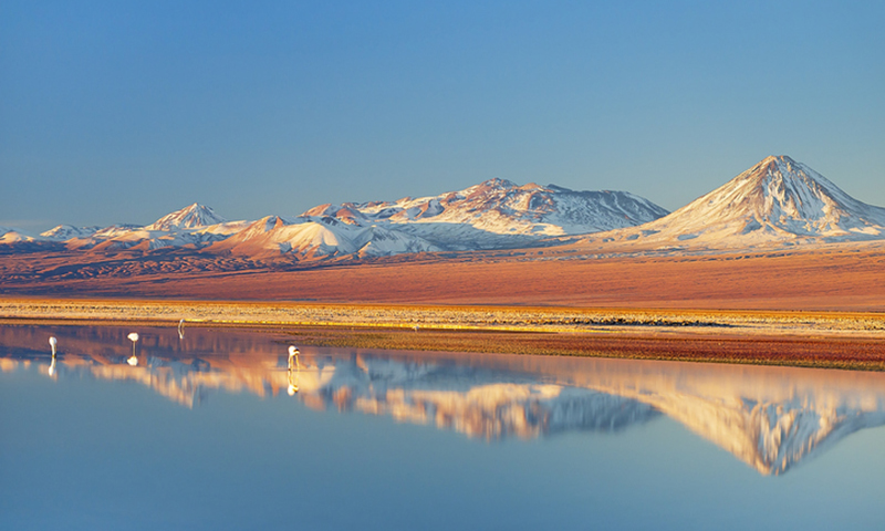 Chile: A Tale of Two Locations - Unique Natural Habitat Adventures